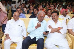 IMG_6097-Copy