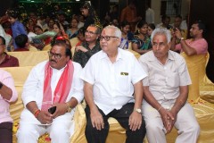 IMG_6098-Copy