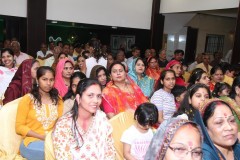 IMG_6132-Copy