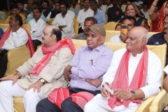 IMG_6160-Copy