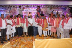 IMG_6203-Copy
