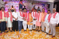 IMG_6204-Copy